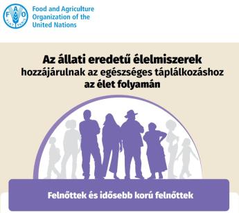 FAO INFOGRAFIKA: AZ ÁLLATI EREDETŰ ÉLELMISZEREK SZEREPE A FELNŐTTEK ÉS AZ IDŐSEBB KOROSZTÁLY TÁPLÁLKOZÁSÁBAN