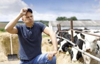 Egyre több a szorongó gazda Európában