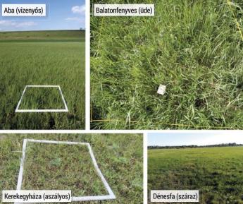 Különböző adottságú gyepek optimális hasznosítási módjai