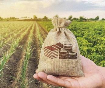 AZ ÁLLATTENYÉSZTÉS JAVULÓ HELYZETE lendületet adhat a beruházásoknak