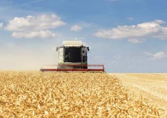 BIZAKODÓK A MAGYAR GAZDÁK – átlagos gabonaszezon elé nézünk