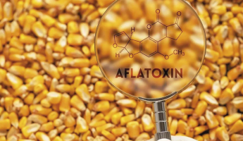 Mi lesz a toxinos készletekkel?