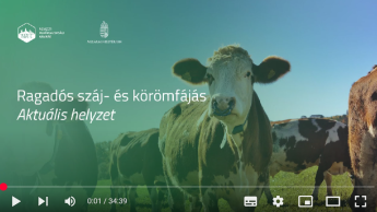 Videóinterjú Dr. Pásztor Szabolcs országos főállatorvossal az RSZKF kapcsán