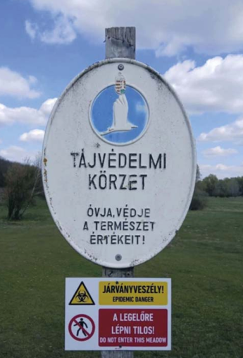 Legeltetés és kommunikáció vírus idején