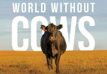 Szarvasmarhák nélküli világ - infografika a marhahús előállításról