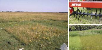 Hogyan védjük meg gyepeinket a szárazságban?