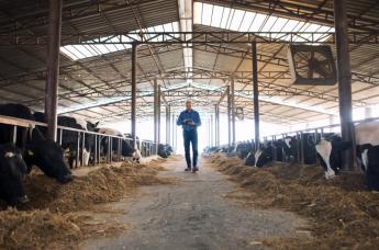 AMR elleni küzdelem megemelt támogatási összegű pályázattal