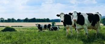 Folyamatos a járvány elleni védekezés