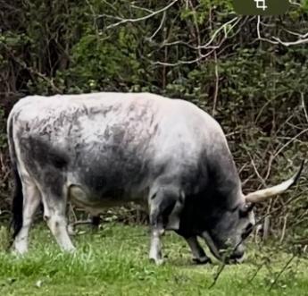 Lélegzetvételhez jutottunk