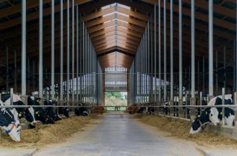 Változások az RSZKF hazai intézkedéseiben