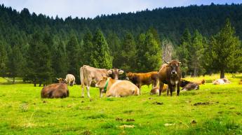 Április 10-én sem volt újabb RSZKF megbetegedés