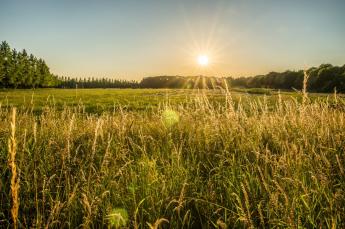 Megkezdték a 2024-es Agro-ökológiai Program támogatásainak folyósítását