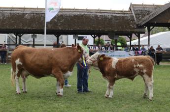 Kincstári közlemény jelent meg az anyatehéntartás kiegészítő csekély összegű támogatásról