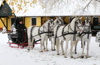 A KIEMELKEDŐ MINŐSÉGŰ ÉS KÉPZETT LOVAKAT KERESIK