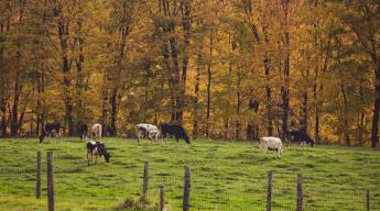 Pozitív lezárás – Véget ért az egységes kérelmek benyújtási időszaka