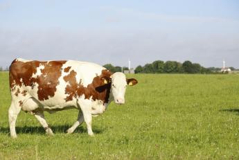 Videóinterjú jelent meg Ines Ajuda-val az állatjólétről, a költségemelkedésről és a tudatos vásárlásról