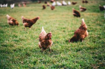 A mezőgazdaság nem ipari ágazat, ezért nem igazságos annak tekinteni