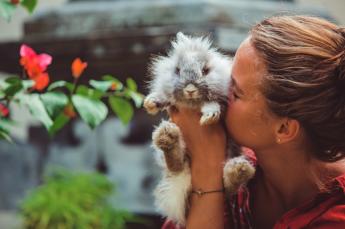 Állatjóléttel kapcsolatos szakmai rendezvénysorozat indul