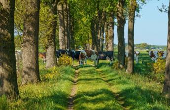 Jelentős potenciál - Az állattenyésztési ágazat része lehet a klímaválság megoldásának