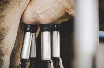 A brit tejtermelők közel 10 százaléka fog felhagyni tevékenységével 2025-ig egy felmérés szerint