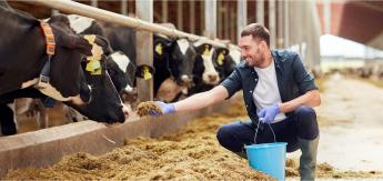 ERŐSÖDŐ PIACI KOCKÁZATOK: ÍGY NÉZ KI A HELYZET BANKOS SZEMMEL