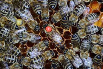 BÍZTUNK BENNE, HOGY ELÉRTÜK A GÖDÖR ALJÁT, de sajnos a jelek nem ezt mutatják