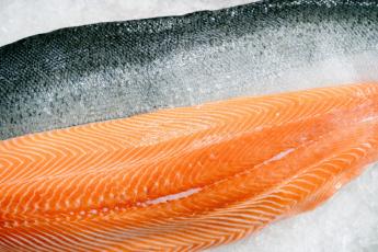 Na de ki foglalkozik a halak jólétével?