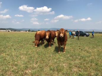 "Klímavédelmi szempontrendszer integrálása a mezőgazdasági szaktanácsadásban" címmel új Mezőgazdasági Kézikönyv jelent meg