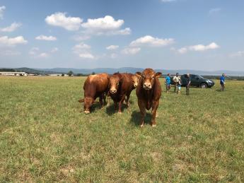 Lezárult a 2019. évi agrártámogatások előlegfizetési időszaka