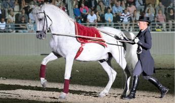 Fergeteges lovasgála Szilvásváradon