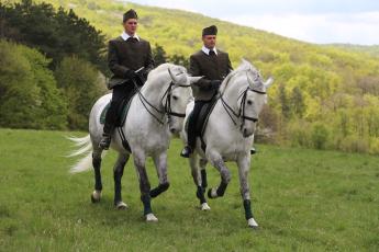 ELSZÁLLTAK A TARTÁSI KÖLTSÉGEK, PEDIG KERESIK A JÓ LOVAKAT