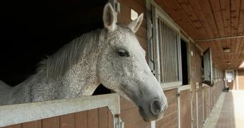 Segítség a nyilvántartás vezetéséhez