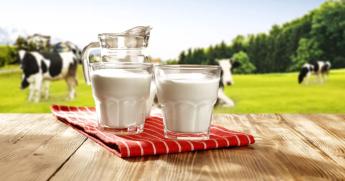 19. Nemzetközi Tejágazati Együttműködési Fórum Lengyelországban