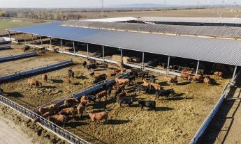 Valóban ártalmas az EU-Mercosur-megállapodás?