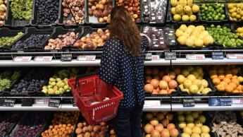 Miniszteri biztosként folytatja az országos főállatorvos