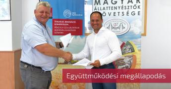 Együttműködési megállapodást kötött a MÁSZ a MKB Bankkal