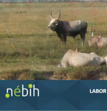 Elindult a Nébih LABOR rendszere