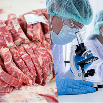 Nincs itt a tömeges laborhúsfogyasztás ideje