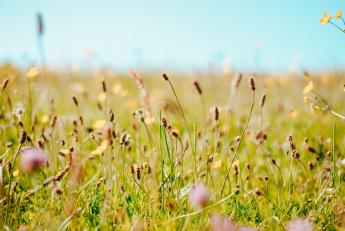 Hibajavítások az eGN-ben az egységes kérelmek kapcsán
