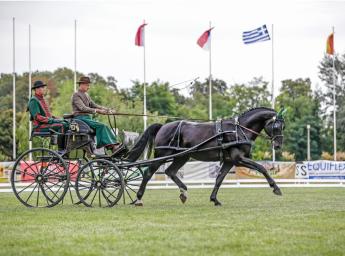 NÓNIUSZ = TRADÍCIÓ, EGYEDISÉG, MINŐSÉG