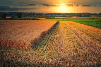 November 30-áig lehet benyújtani kárenyhítő juttatás iránti kérelmeket