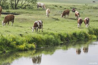 Új köntösben a jövő területalapú támogatási rendszere