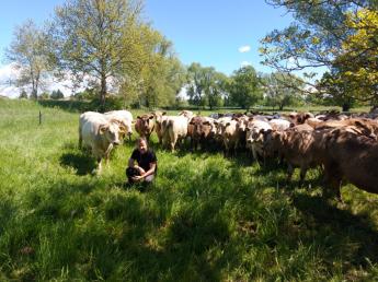 Marhajó párbaj – Aberdeen Angus vs. Murrey Grey