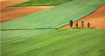 Október közepén megkezdődik a közvetlen és vidékfejlesztési támogatások előlegeinek kifizetése