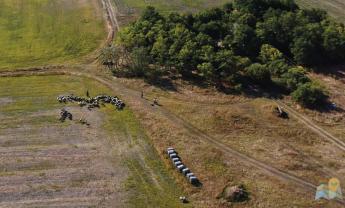 Pásztorok, állattartók és kutatók a homokhátság legeltetésének kihívásairól