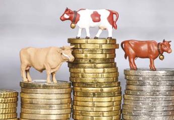 EGYSÉGES KÉRELEMBEADÁS: sok gazdának okozott kisebb-nagyobb gondot