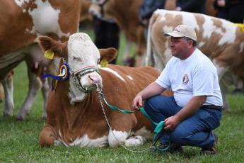 A TÁMOGATÁSI KERET CSÖKKENTÉSE KOMOLY CSAPÁST MÉRHET A TENYÉSZTŐSZERVEZETEKRE