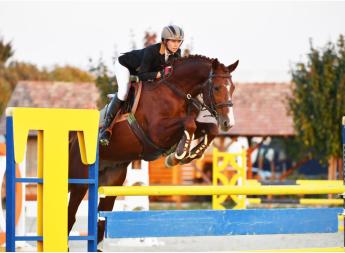 HAGYOMÁNYOS LÓFAJTÁINK HELYE A XXI. SZÁZADBAN - Az aranyszínben pompázó gidrán