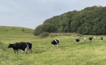 Dánia régi fajtáinak megőrzése