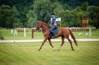 ÚJABB MÉNNEL SEGÍTI AZ AGRÁRMINISZTÉRIUM AZ ERDÉLYI LÓTENYÉSZTÉST